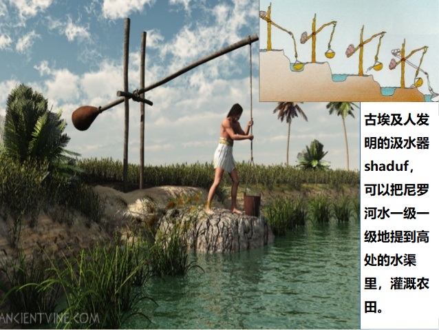 上图:古埃及人所发明的抽河水灌溉农田的汲水器沙杜夫(shaduf),利用杠杆原理,把水一级一级地引到高处的水渠里,然后把水分流到越来越小的渠道。田地得到足够的灌溉以后,农夫便用脚堆上泥土,把水道封闭。以后田地再需浇灌之时,只要把封闭沟渠的泥土踢开便可以了,所以叫「用脚浇灌」。