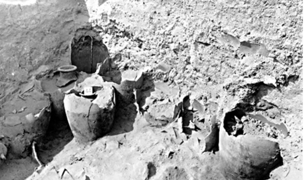 上图:1930年代,英国考古学家John Garstang在耶利哥废墟发现了许多装满碳化谷物的陶罐。古埃及军队的战术是在收割之前围城,这样城中的储粮最低;攻取城市后也会掠走所有粮食,不会留下这么多谷物。因此,这些谷物没被掠走,在迦南地的考古中非常罕见,但却与圣经的记载一致:1、当时是逾越节,谷物刚被收割,城中有大量储粮;2、以色列人突然过了约旦河,「耶利哥的城门因以色列人就关得严紧,无人出入」(书六1),没来得及带着粮食逃走;3、耶利哥被围7天就陷落,所以剩下了许多谷物;4、以色列人遵守神的命令,「用火将城和其中所有的焚烧了」(书六24),并没有留下粮食当战利品。然而,1995年对这些谷物进行放射性碳定年的结果,却是主前17世纪晚期或16世纪,比以色列人主前1407年进迦南的时间早了100年。