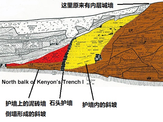 上图:1950年代,John Garstang请英国考古学家Kathleen Kenyon检查他的挖掘资料,并继续挖掘。上图是Kenyon所画的剖面图,黑色部分是4.5米高的外层石头护墙,被埋在废墟之下。黄色部分是护墙后面向上的斜坡,坡顶原来伫立着内层城墙。鲜红色部分是城墙向外倒下的红土砖所形成的斜坡,进攻者可以沿着斜坡「上去进城,各人往前直上」(书六20)。Kenyon也证实耶利哥废墟被大火彻底摧毁,但她认为耶利哥城在主前1550年被逃离埃及的喜克索人(Hyksos)或追击的埃及人摧毁的,所以约书亚进迦南时,耶利哥已经没有城墙了。可是她无法解释为什么逃到这里的喜克索人会摧毁城墙,也不能解释为什么会留下许多储藏谷物的陶罐,也找不到当时埃及军队在约旦河谷军事活动的记录。