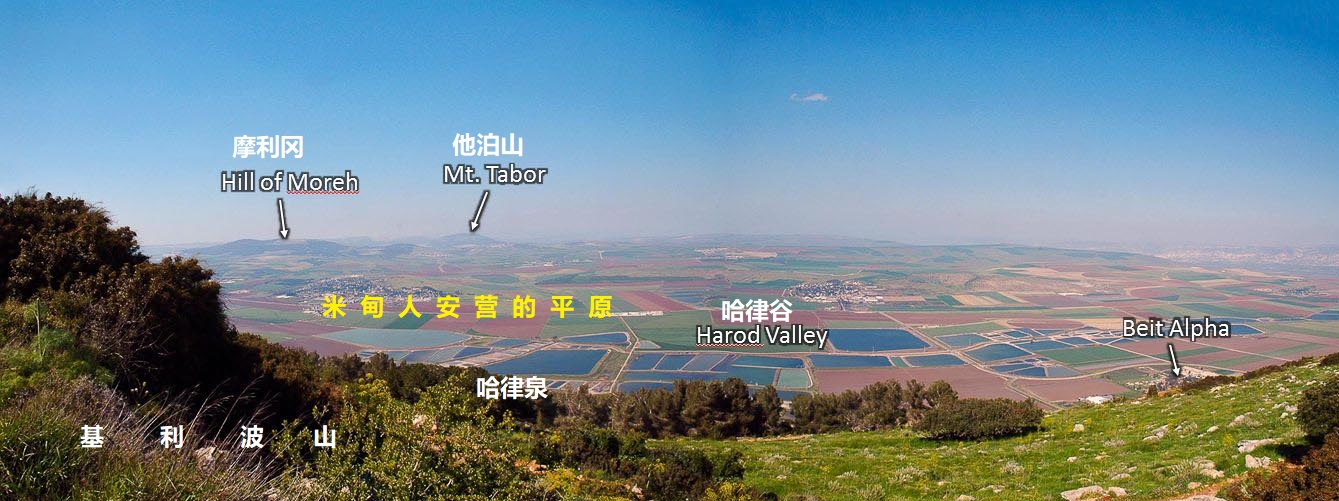 上图:从基利波山俯瞰山下的哈律泉和远处的摩利岗。米甸人就在哈律泉和摩利岗之间的耶斯列平原上安营,「米甸人、亚玛力人,和一切东方人都布散在平原,如同蝗虫那样多。他们的骆驼无数,多如海边的沙」(士七12)。