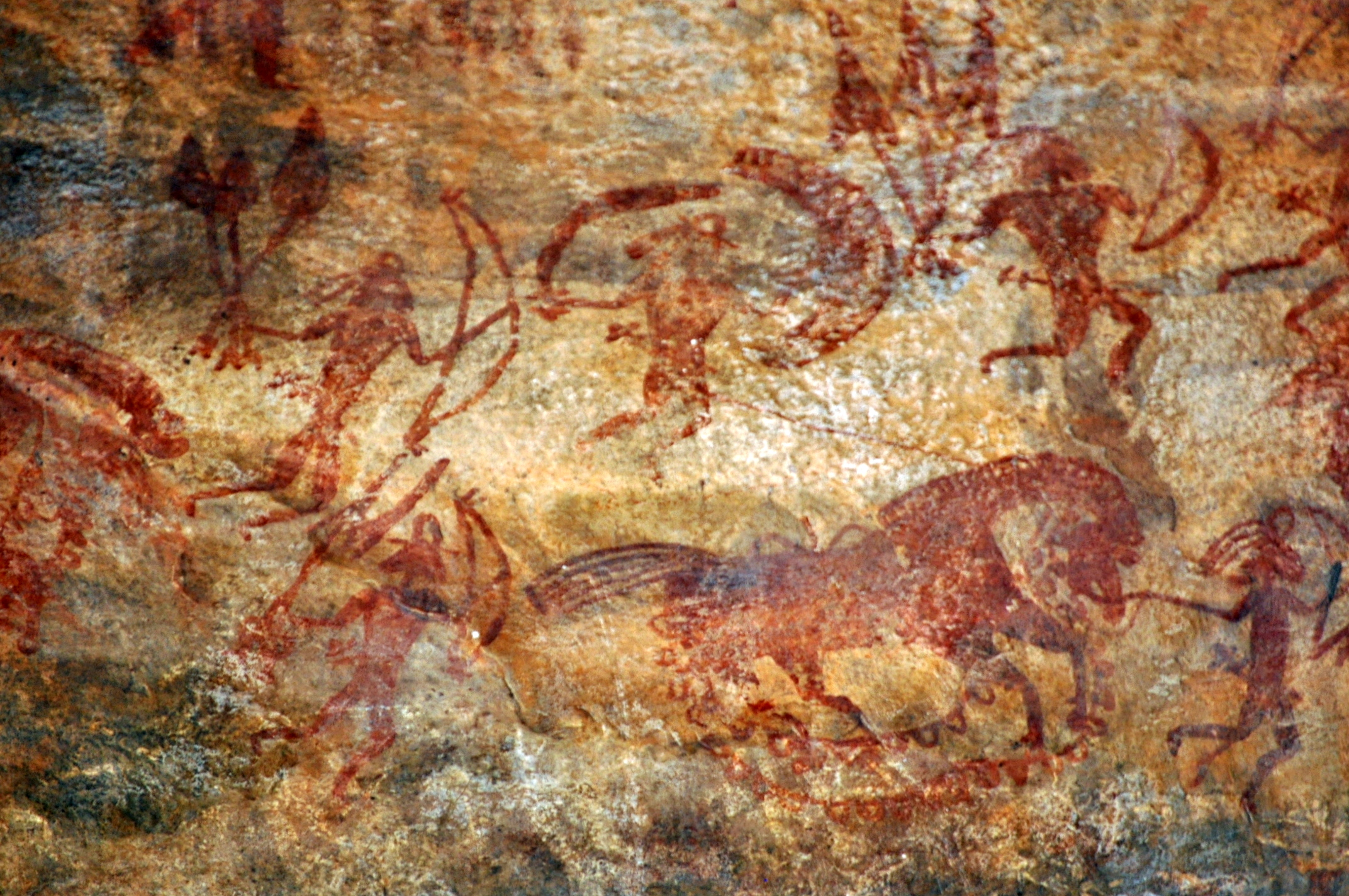 上图:印度比莫贝特卡石窟(Bhimbetka rock shelters)的岩画,画着一个人牵着一匹马。人类大约从主前3500-4000年开始在中亚驯化马。马适合奔跑,具有出色的平衡感和强烈的战斗或逃跑反应(Fight-or-flight response)。