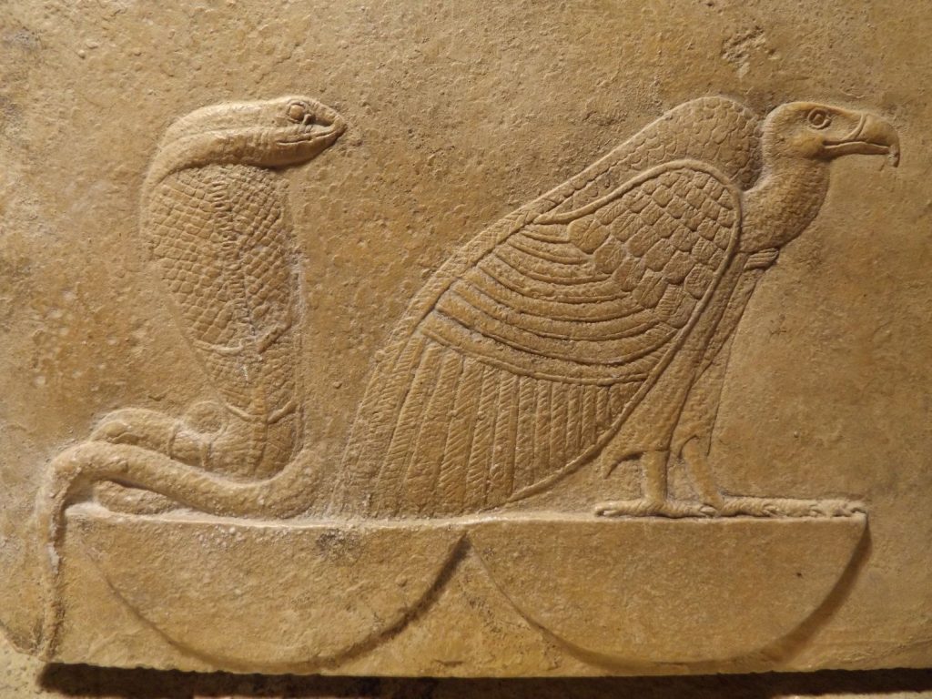 上图:古埃及浮雕上的的秃鹫和蛇。眼镜蛇乌拉厄斯(Uraeus)是女神瓦吉特(Wadjet)的象征,瓦吉特是下埃及的守护神,上下埃及统一后,与上埃及的秃鹫女神奈赫贝特(Nekhbet)一起成为埃及的守护神。埃及眼镜蛇(Egyptian Cobra)每次咬击,平均释出175至200毫克毒素,其毒之猛仅次于菲律宾眼镜蛇,但却更加致命,因为埃及眼镜蛇的体型较大、较具攻击性、释出蛇毒更多。